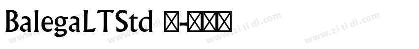 BalegaLTStd 中字体转换